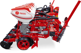 PinaDisc Shift Alternate